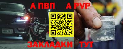 шишки Донской