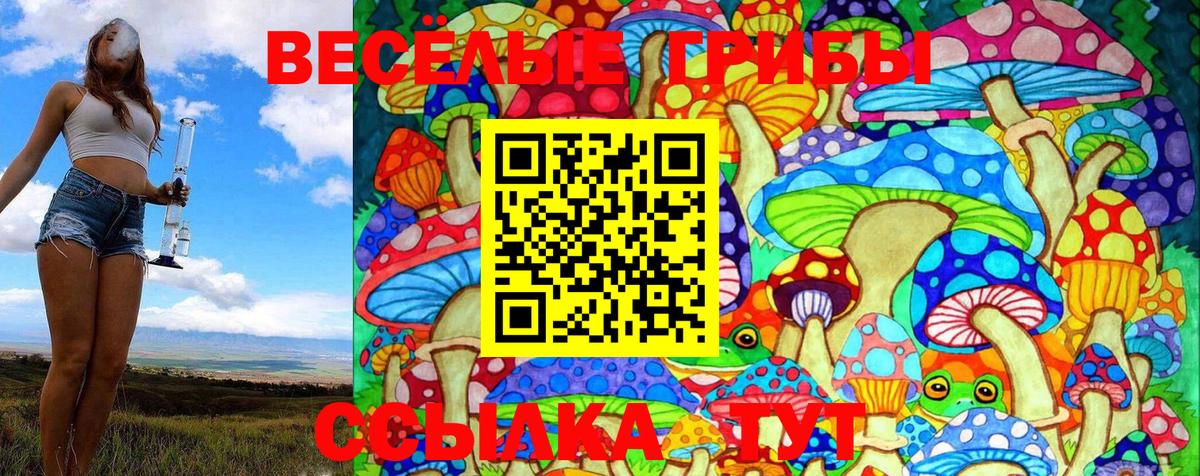 Псилоцибиновые грибы MAGIC MUSHROOMS Ликино-Дулёво
