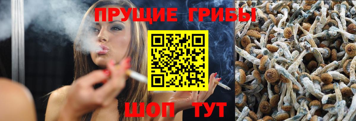Ликино-Дулёво  Галлюциногенные грибы GOLDEN TEACHER  Вход с VPN 